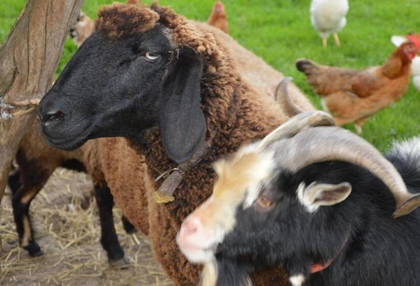 Bed and Breakfast Pension Zenzlgut