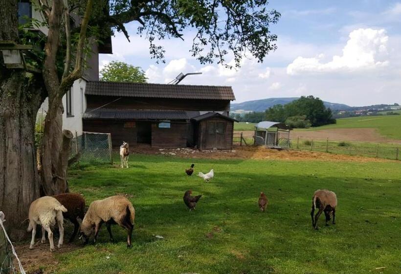 Bed and Breakfast Pension Zenzlgut