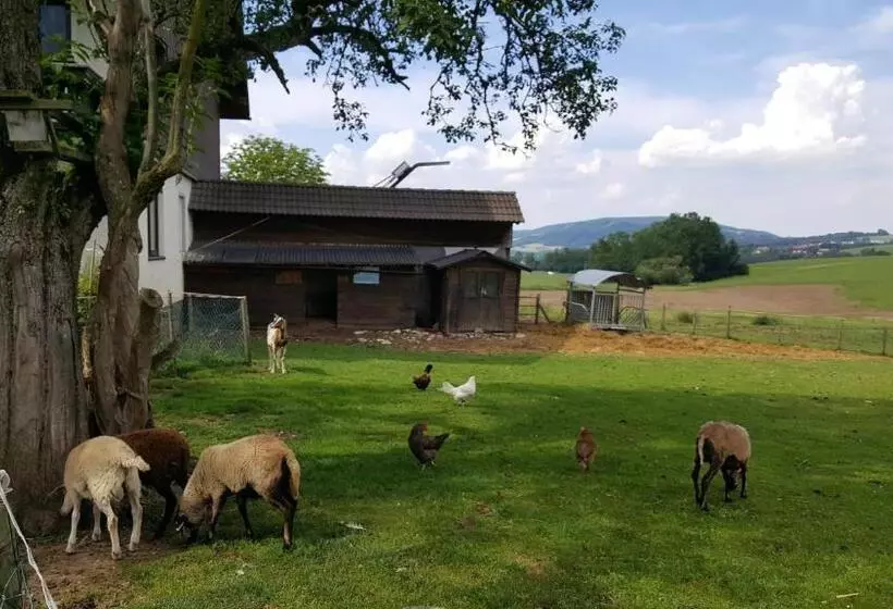 Bed and Breakfast Pension Zenzlgut