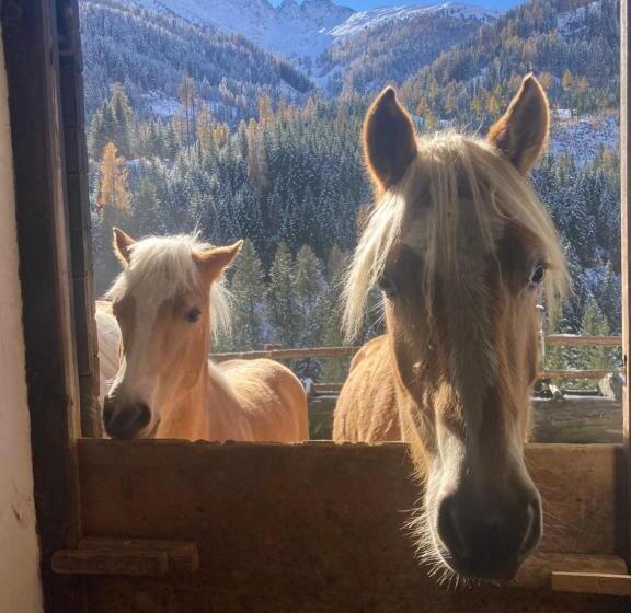 Ferienwohnungen Lippenhof