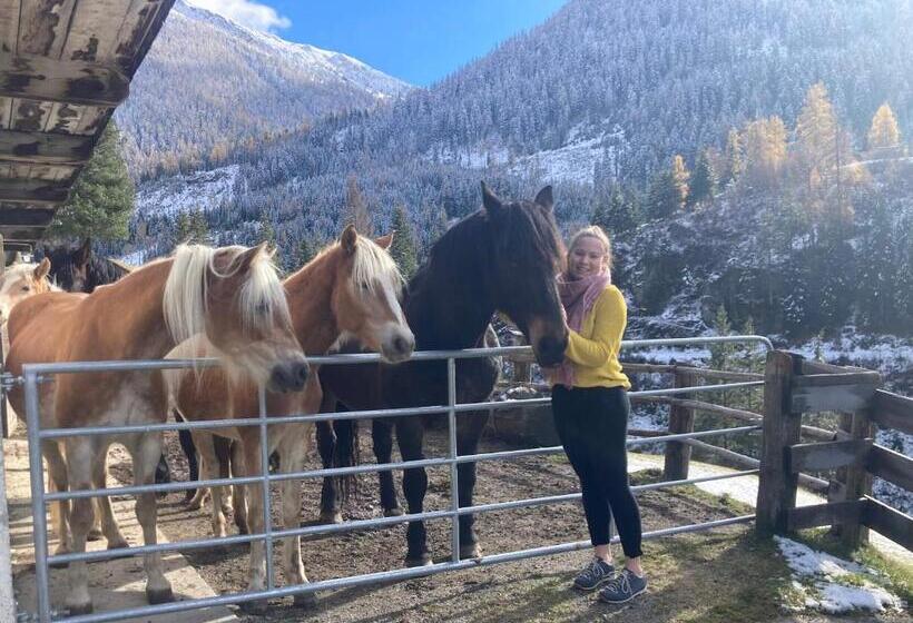 Ferienwohnungen Lippenhof