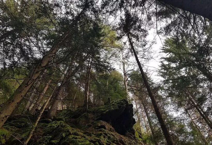 Alphotel Stocker Alpine Wellness