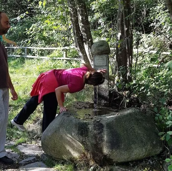 Alphotel Stocker Alpine Wellness