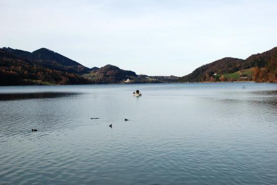 Bed and Breakfast Alpenrose Pension