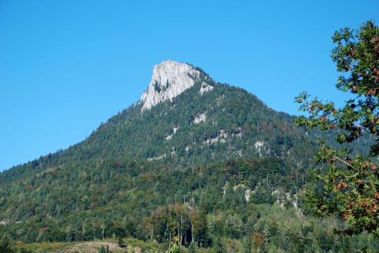 Bed and Breakfast Alpenrose Pension