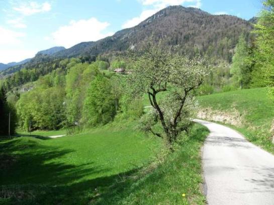 בית מלון כפרי Am Buchberghof