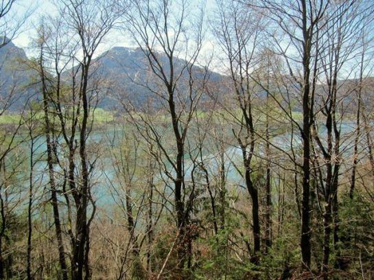 בית מלון כפרי Am Buchberghof