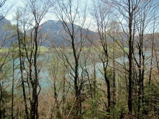 ホテル Am Buchberghof