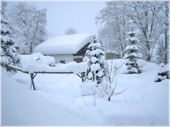 Отель Am Primusbergerhof