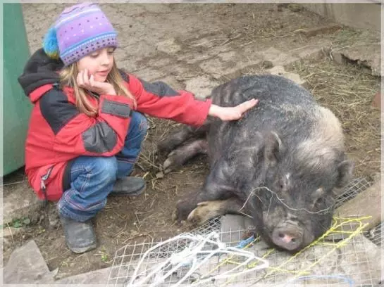 Отель Am Primusbergerhof