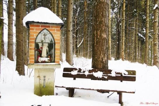 Bauernhof Familie Haunschmid