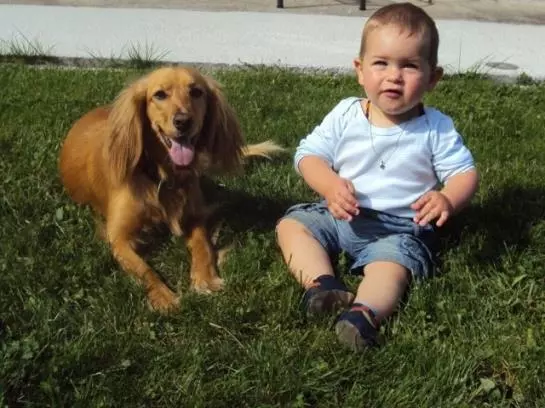 Bauernhof Knoblechner