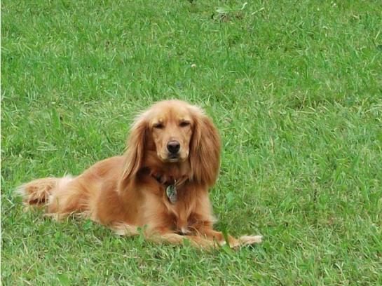 Bauernhof Knoblechner