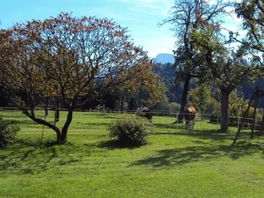 Bauernhof Knoblechner