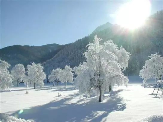 Bauernhof Stadlmannbauer
