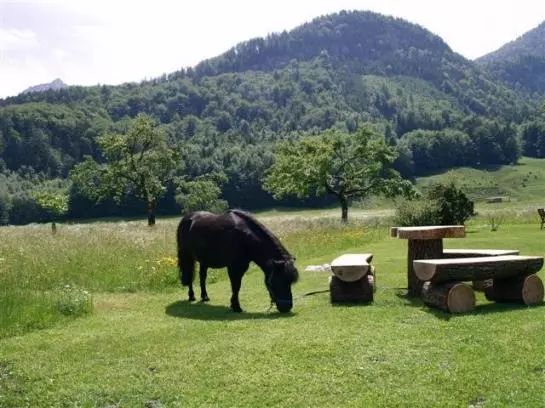 Bauernhof Stadlmannbauer