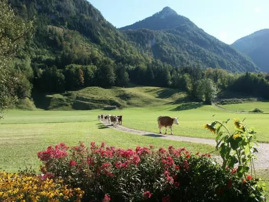 Bauernhof Stadlmannbauer