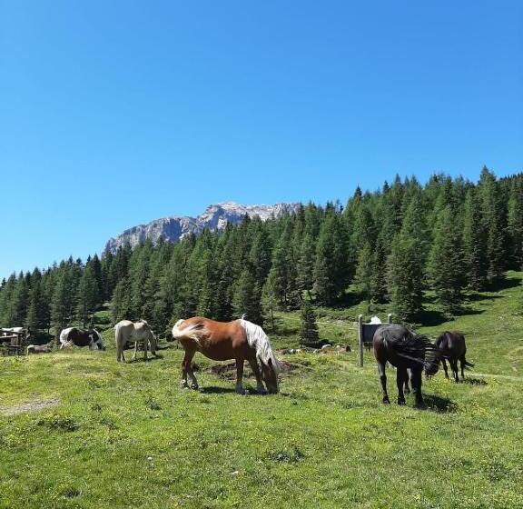 酒店 Berghof Nassfeld