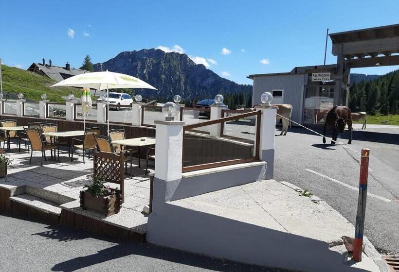 酒店 Berghof Nassfeld