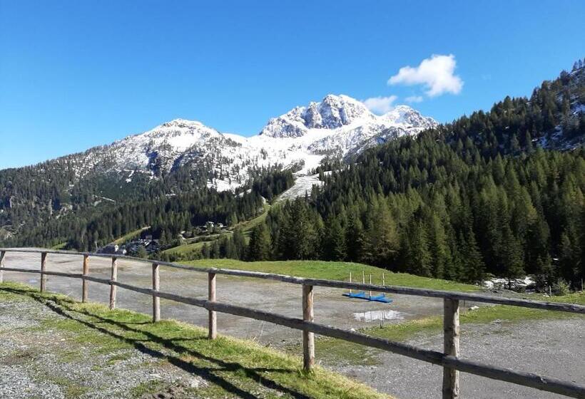 酒店 Berghof Nassfeld