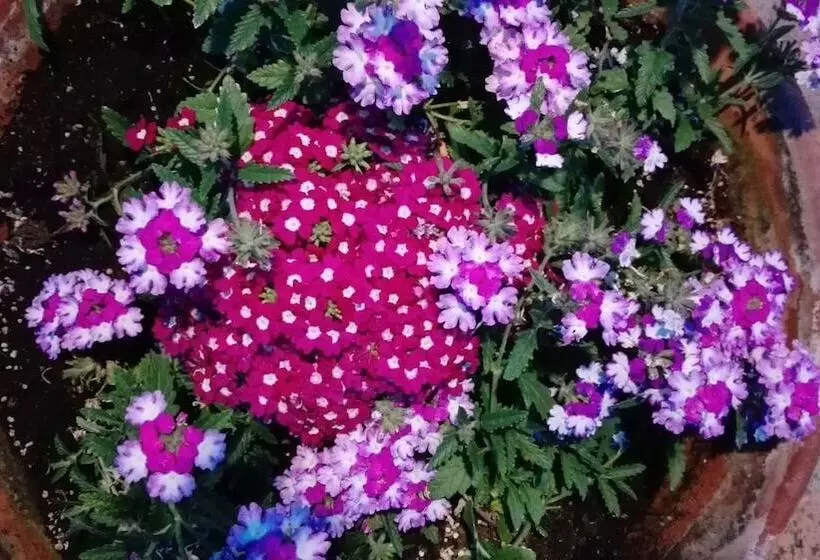 호텔 Borgo Antico   Poggiòlo Del Principe