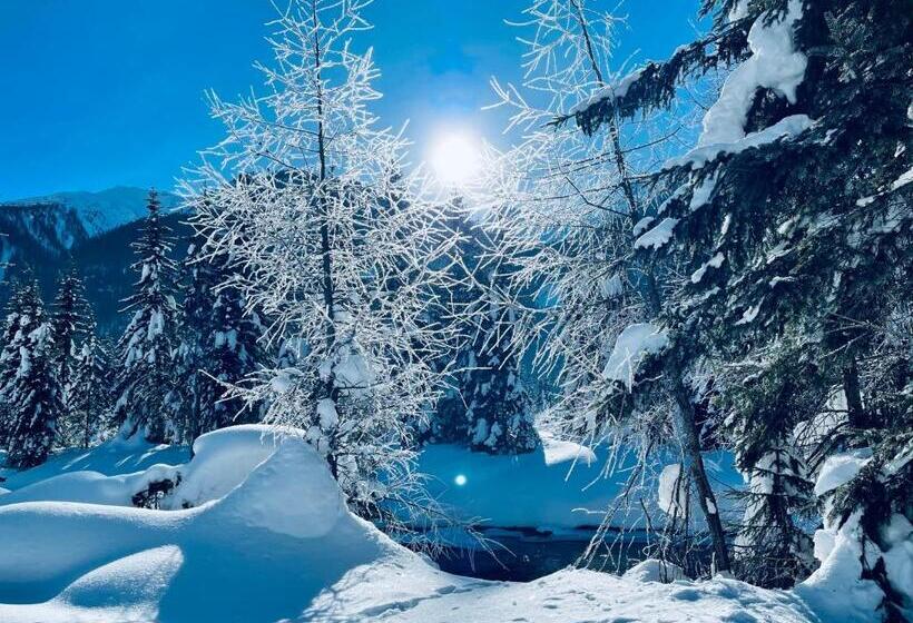 ホテル Garni Burger