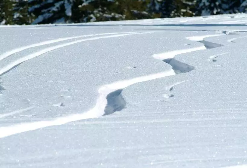 ホテル Grundnerhof