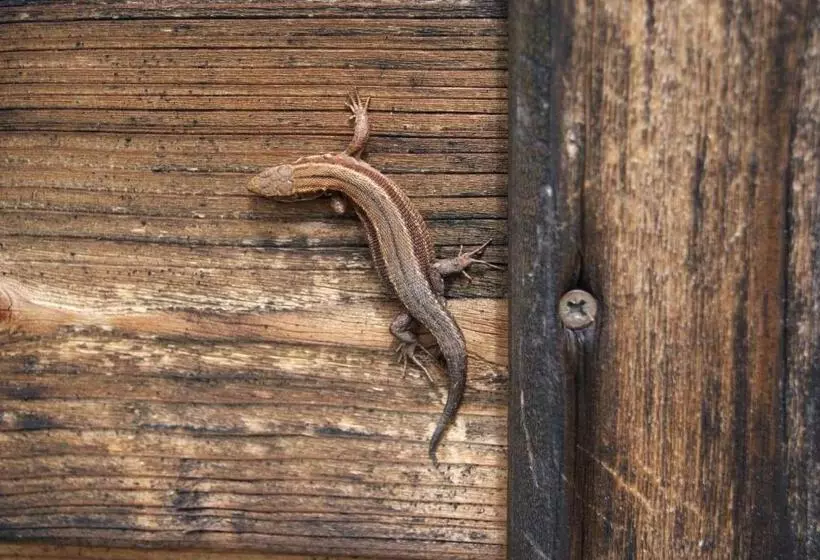 ホテル Grundnerhof