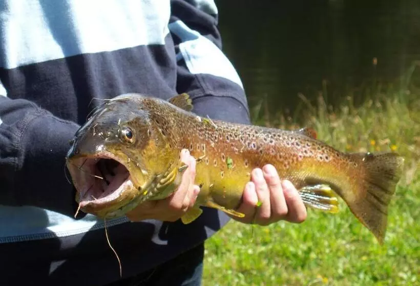 ホテル Grundnerhof