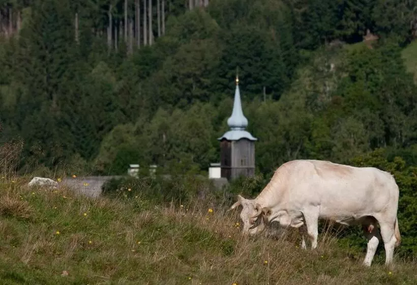 ホテル Grundnerhof