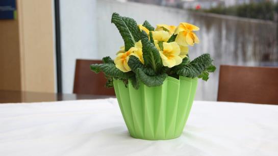 فندق Haus Der Begegnung