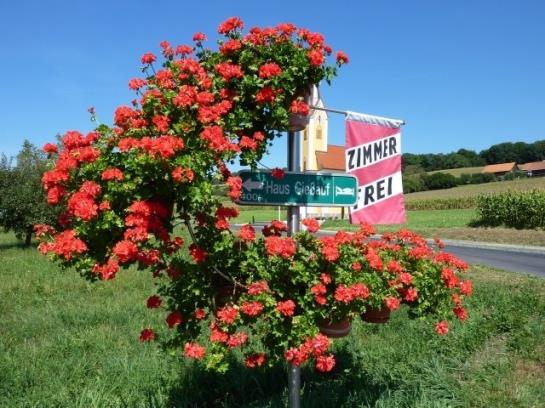 Bed and Breakfast Haus Giessauf Pension