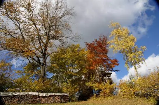 Hotelli Holzgethan