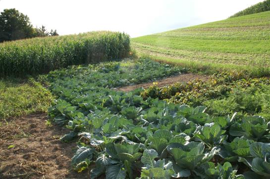 Отель Holzgethan