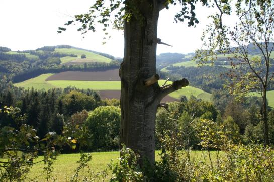 Отель Holzgethan