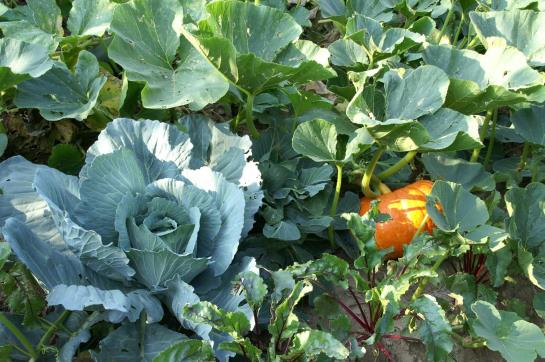 Отель Holzgethan