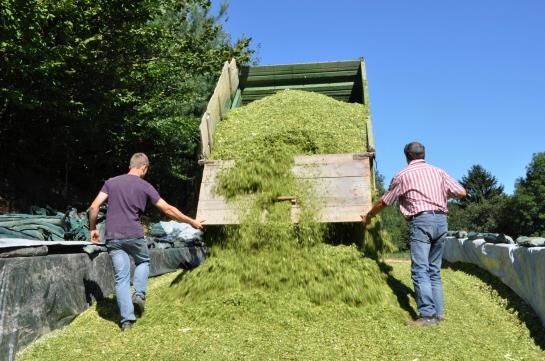 Отель Holzgethan