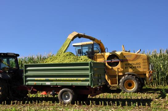 Отель Holzgethan