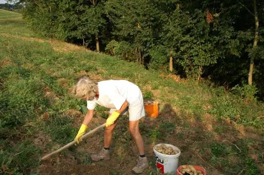 Hotelli Holzgethan