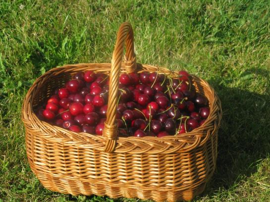 Отель Holzgethan