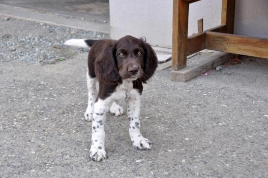 Отель Holzgethan