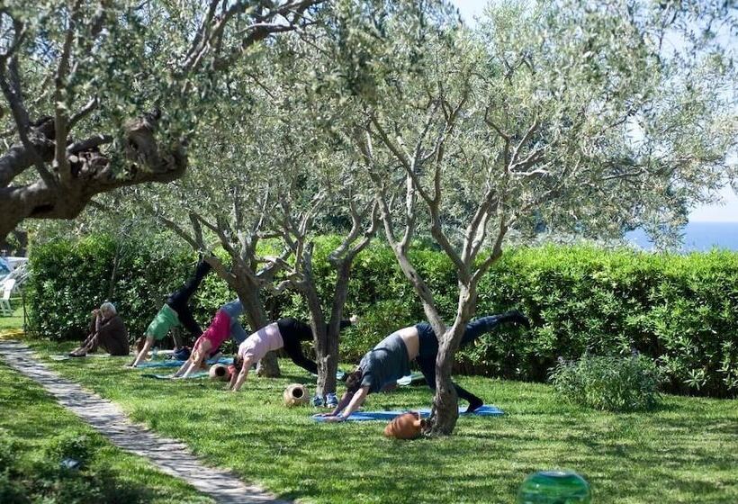 בית מלון כפרי Ideal