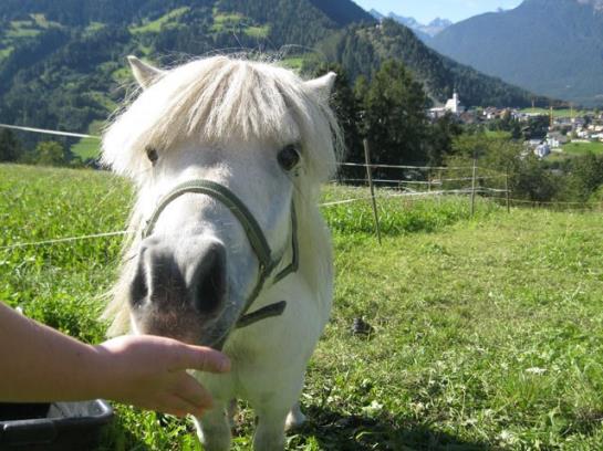 Kinderbauernhof Ierzerhof