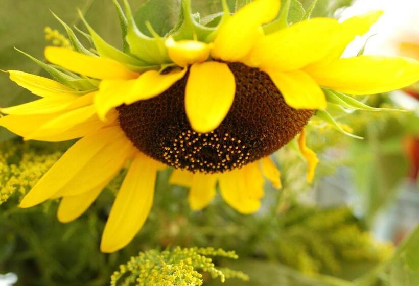 酒店 Maratscher Kunst & Kultur