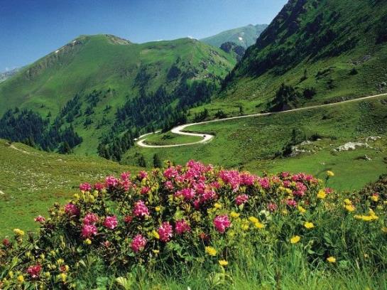 Bed and Breakfast Pension Stocker