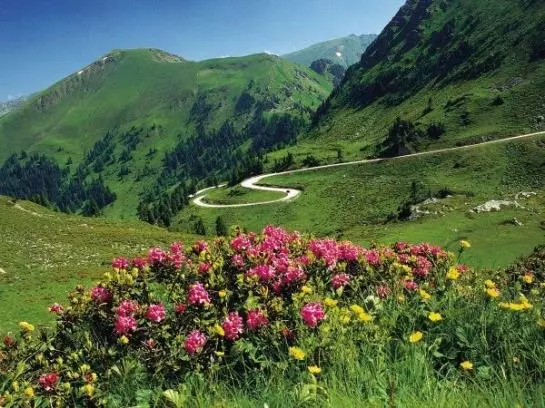 Bed and Breakfast Pension Stocker