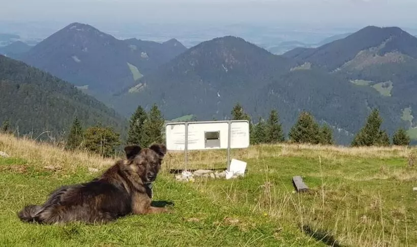 ペンション Alte Post