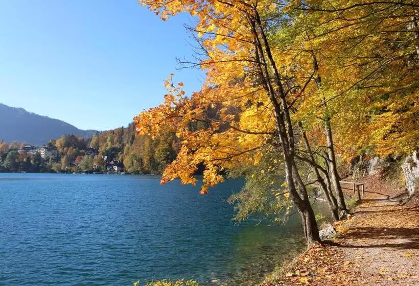 Пансион Garni Weberhäusl