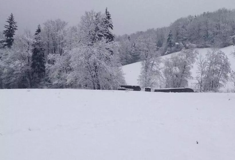 Rauhbergerhof