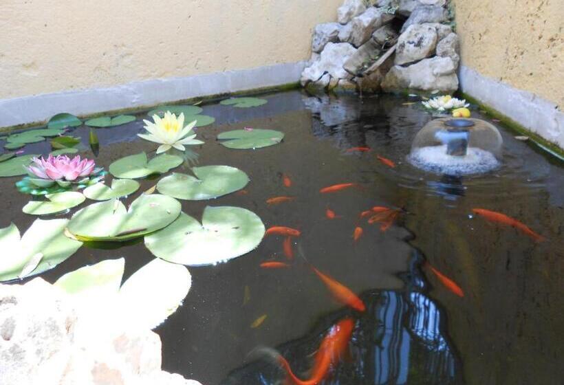 צימר Casa Gagliardi